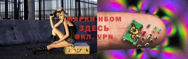 гидра Михайловка