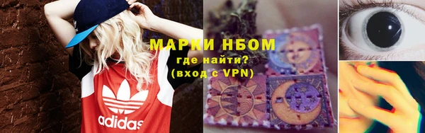 гидра Михайловка