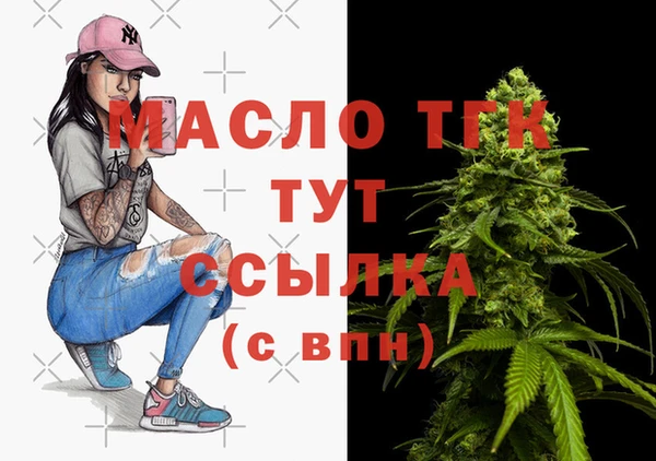гидра Михайловка