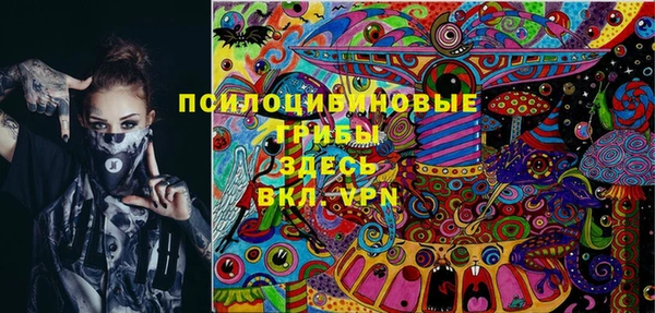 кокс Михайлов