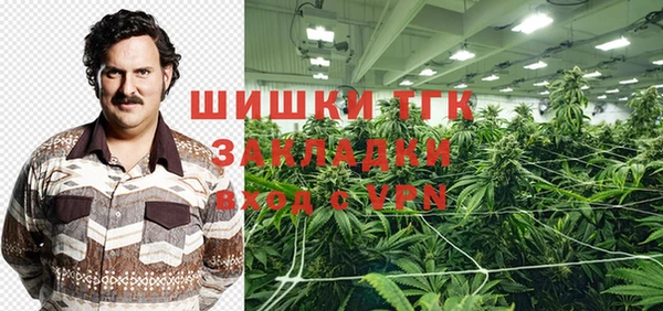 гидра Михайловка