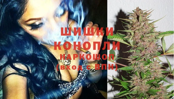 гидра Михайловка