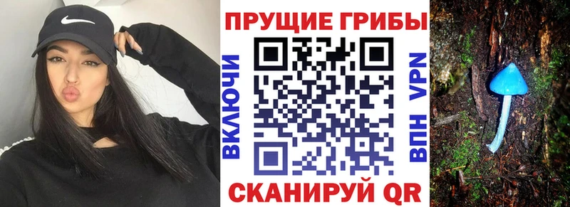 Псилоцибиновые грибы прущие грибы  даркнет телеграм  Уяр 